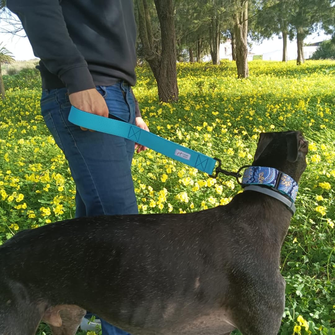 EGV - Guia curta para cães, 4 cm de largura, cabo de neoprene e 50 cm de comprimento. (Azul)