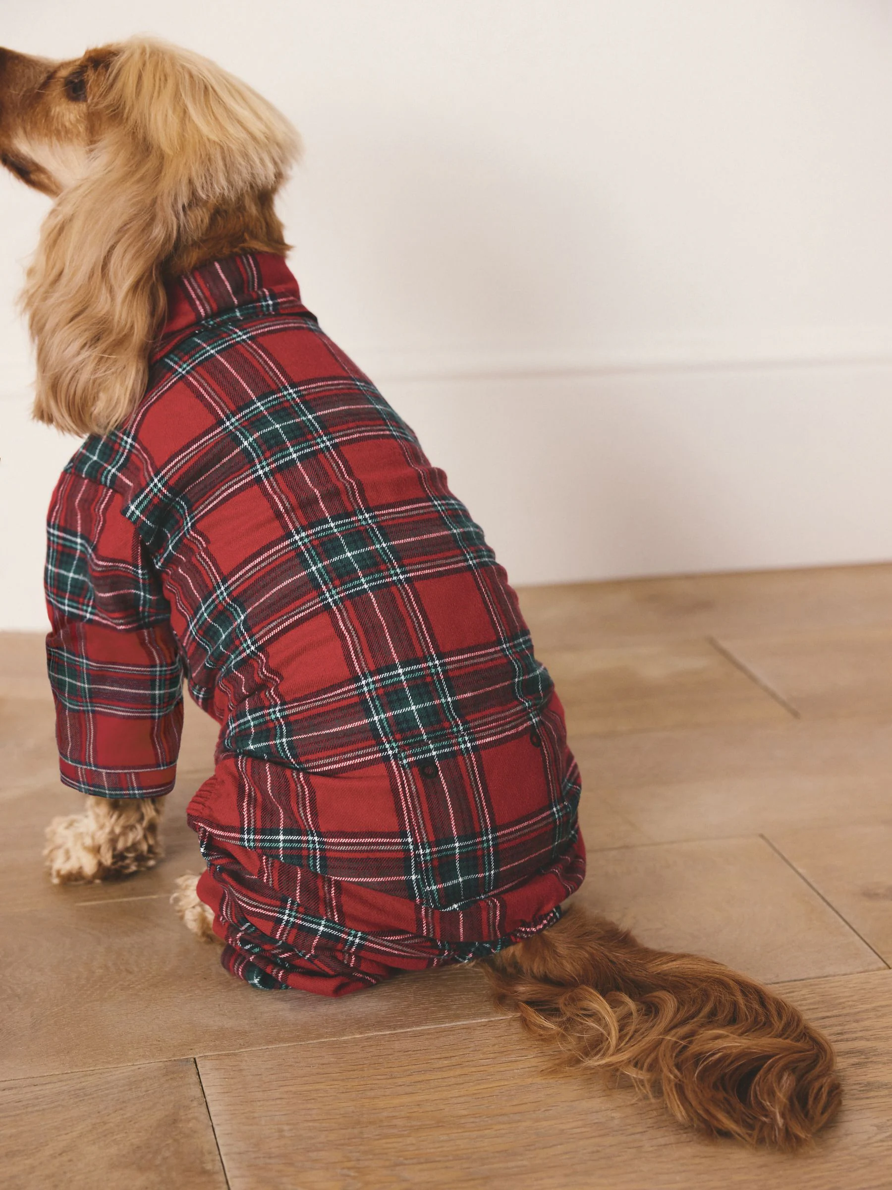Red Tartan Matching Family Christmas Pet Pyjamas
