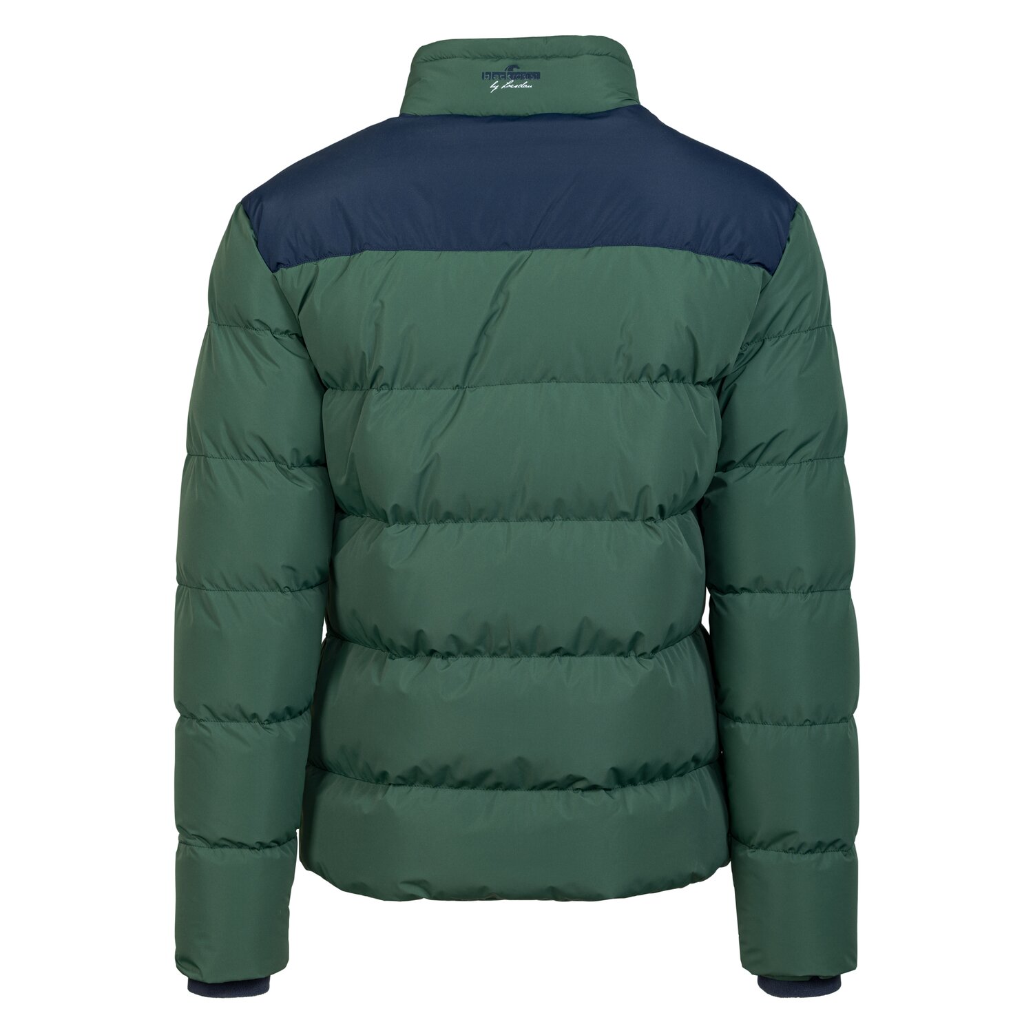 black forest Steppjacke mit Stehkragen  - race green