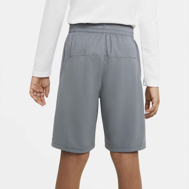 Nike Dri-FIT shorts Grå