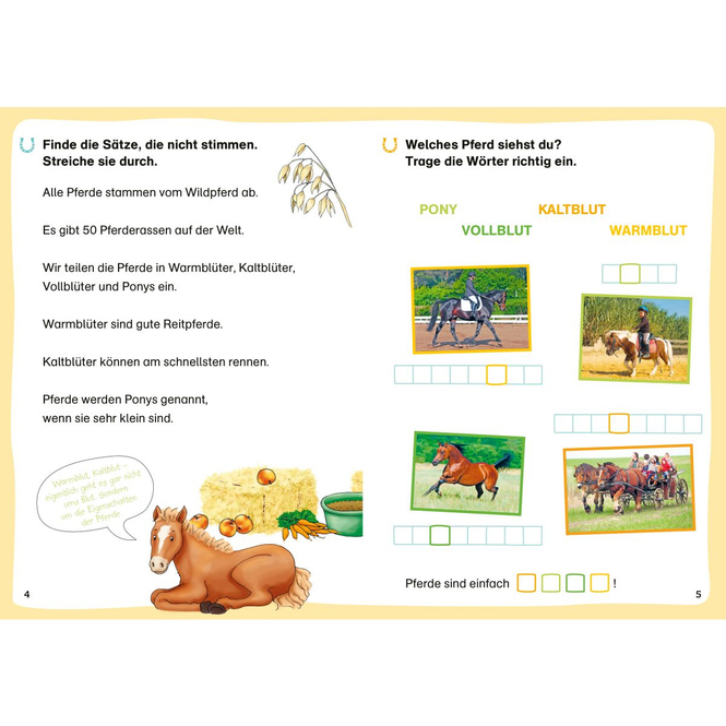 WAS IST WAS - Erstes Lesen - Leserätsel - Pferde und Ponys