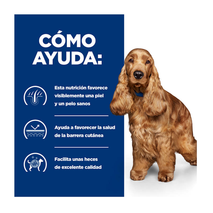 Ração Hill's Prescription Diet Food Sensitives z/d para cães