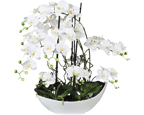 Kunstplant Phalaenopsis, hoogte: 68 cm, wit