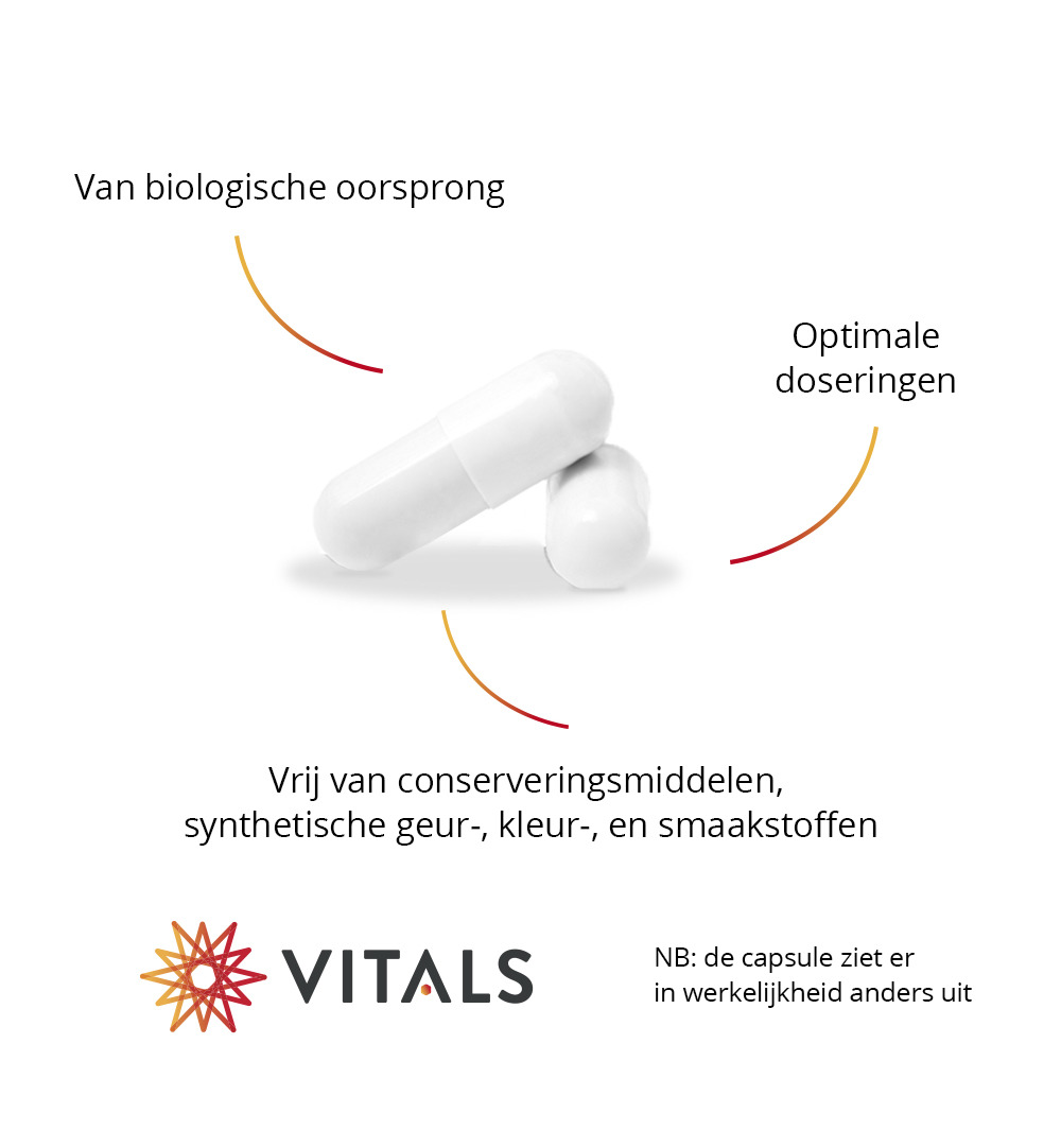 Vitals Saffraan-Lcs Bio (60 capsules)