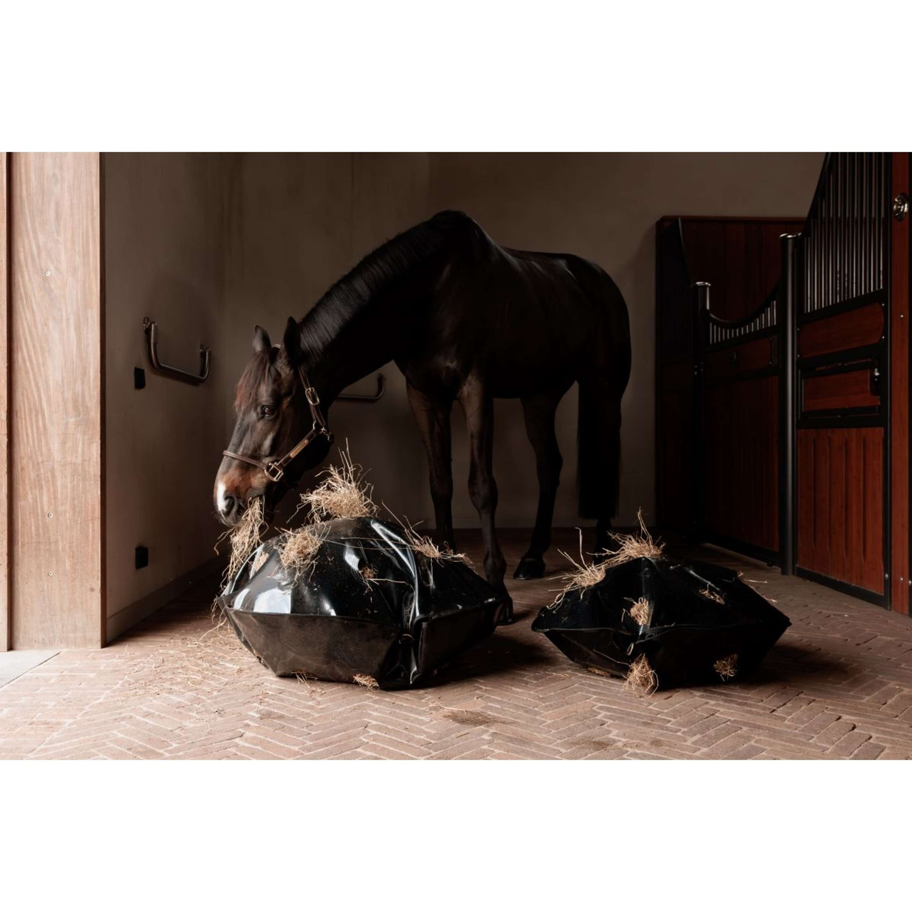 Grooming Deluxe by Kentucky Slow Feeder Play & Haybag Round