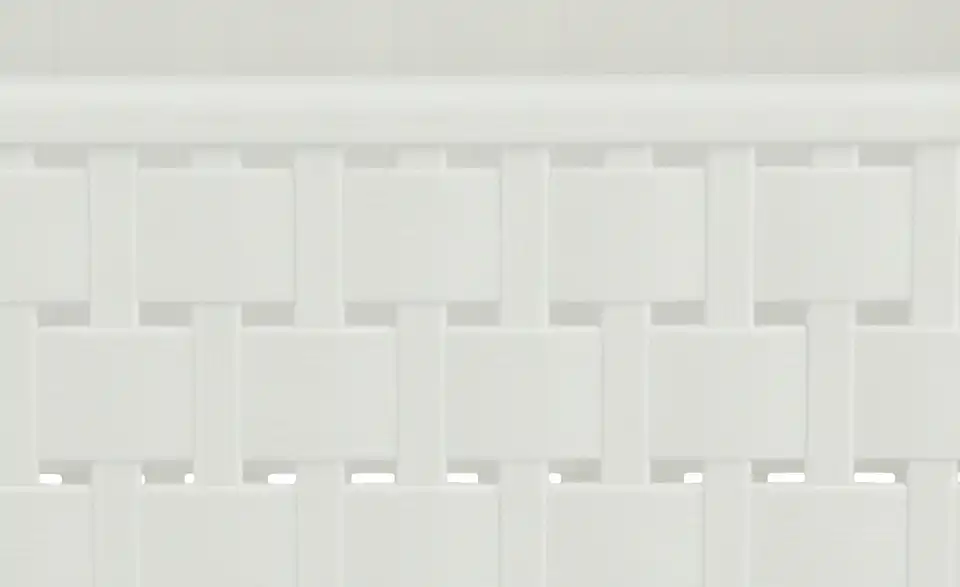 Rotho Aufbewahrungsbox 18,5 cm