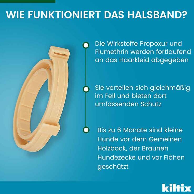 Kiltix für kleine Hunde Halsband, 1 St
