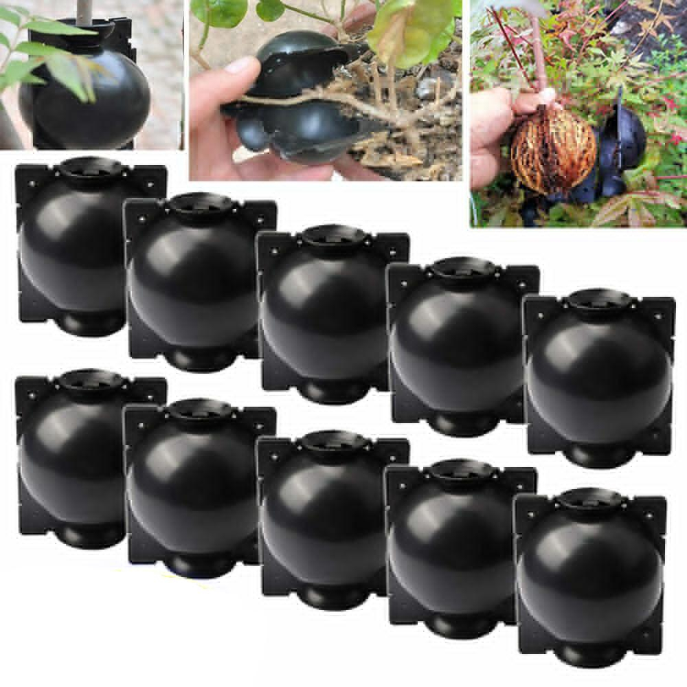 (10er Set) Ø55mm Baumwurzel Anzuchtsbox Wurzelball Veredelung Hochdruck Anzuchtbehälter für Pflanzen / Bäume - Schwarz