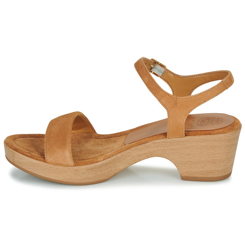 Unisa - IRITA - Camel