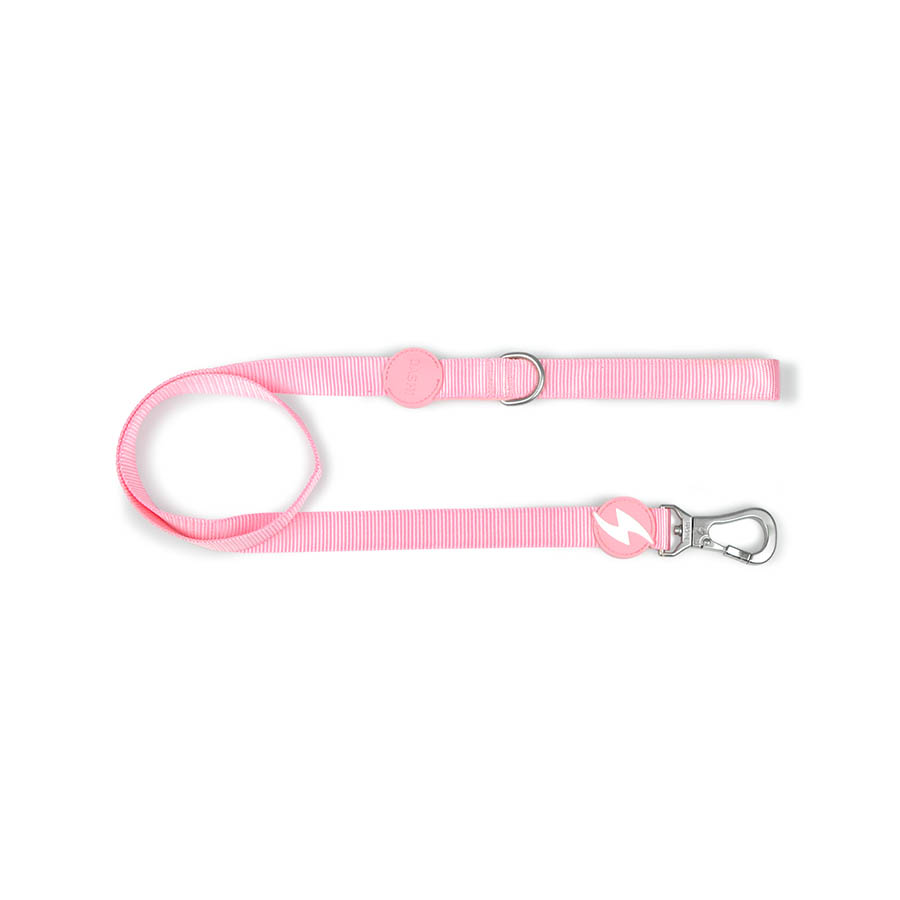 Guia de nylon rosa claro para cães