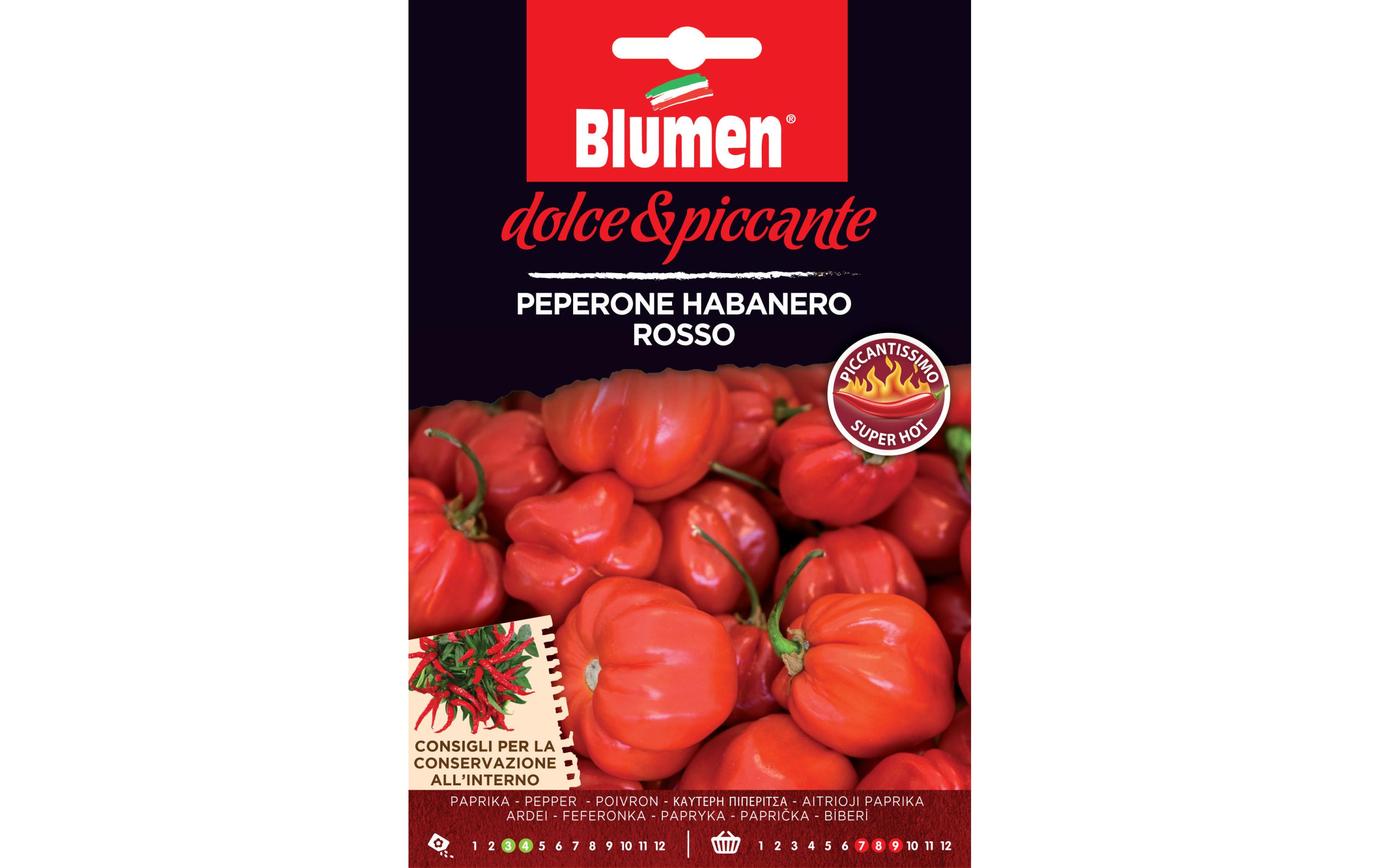 Samen Paprika Habanero RossoGemüsesamen