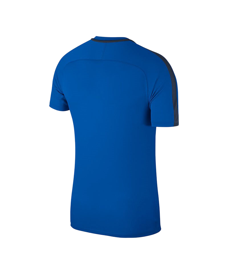 Nike Academy 18 T-Shirt Blau F463