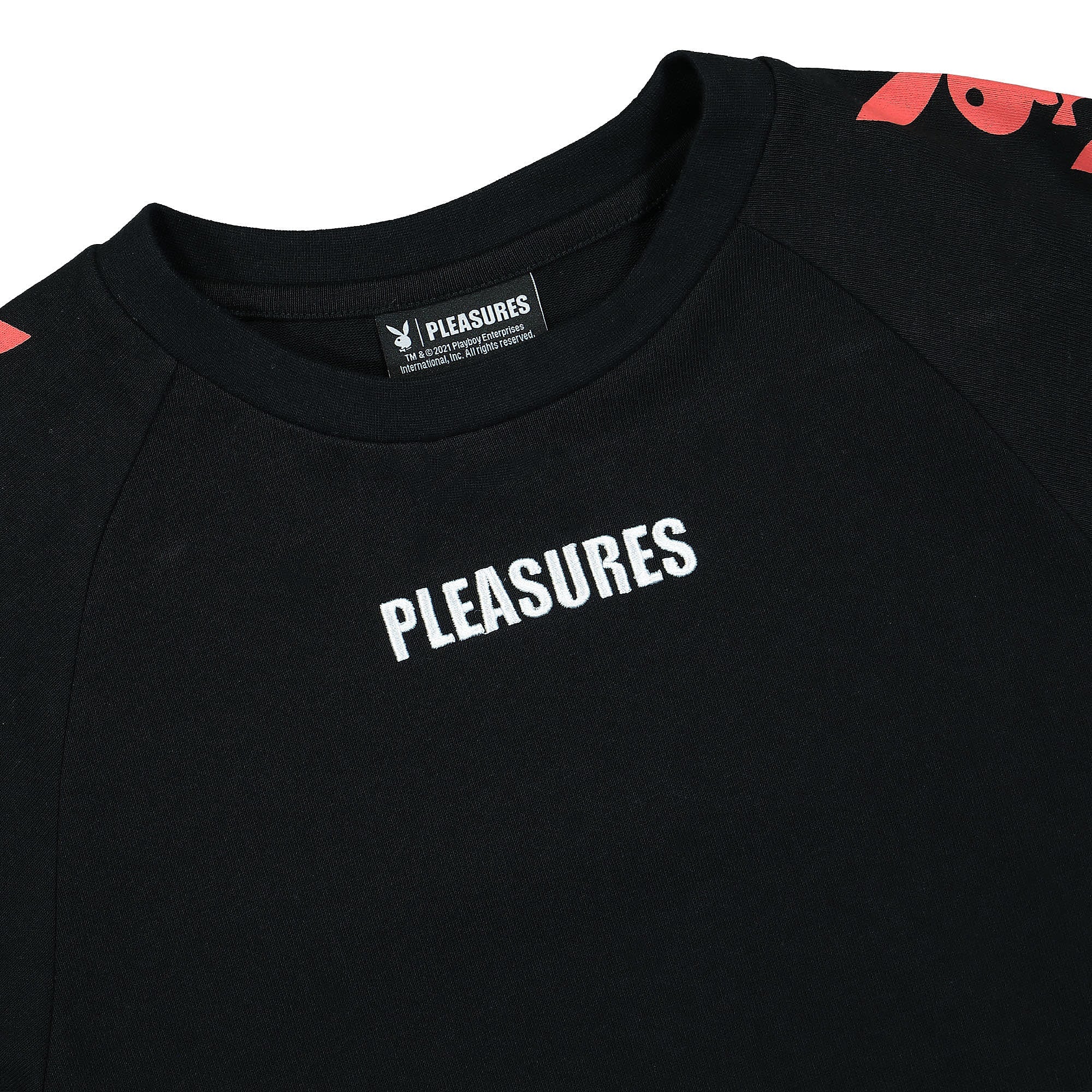 Pleasures<br>Raglan Long Sleeve