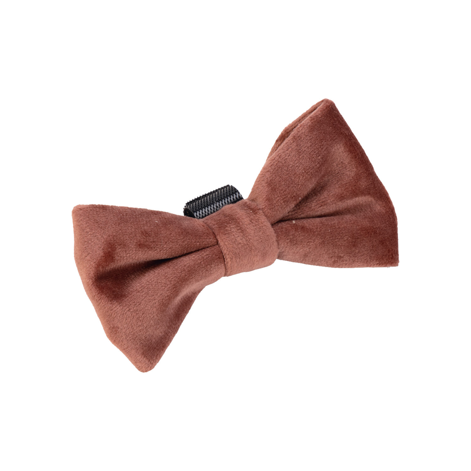 Designed by Lotte Strik Zaza - Velvet