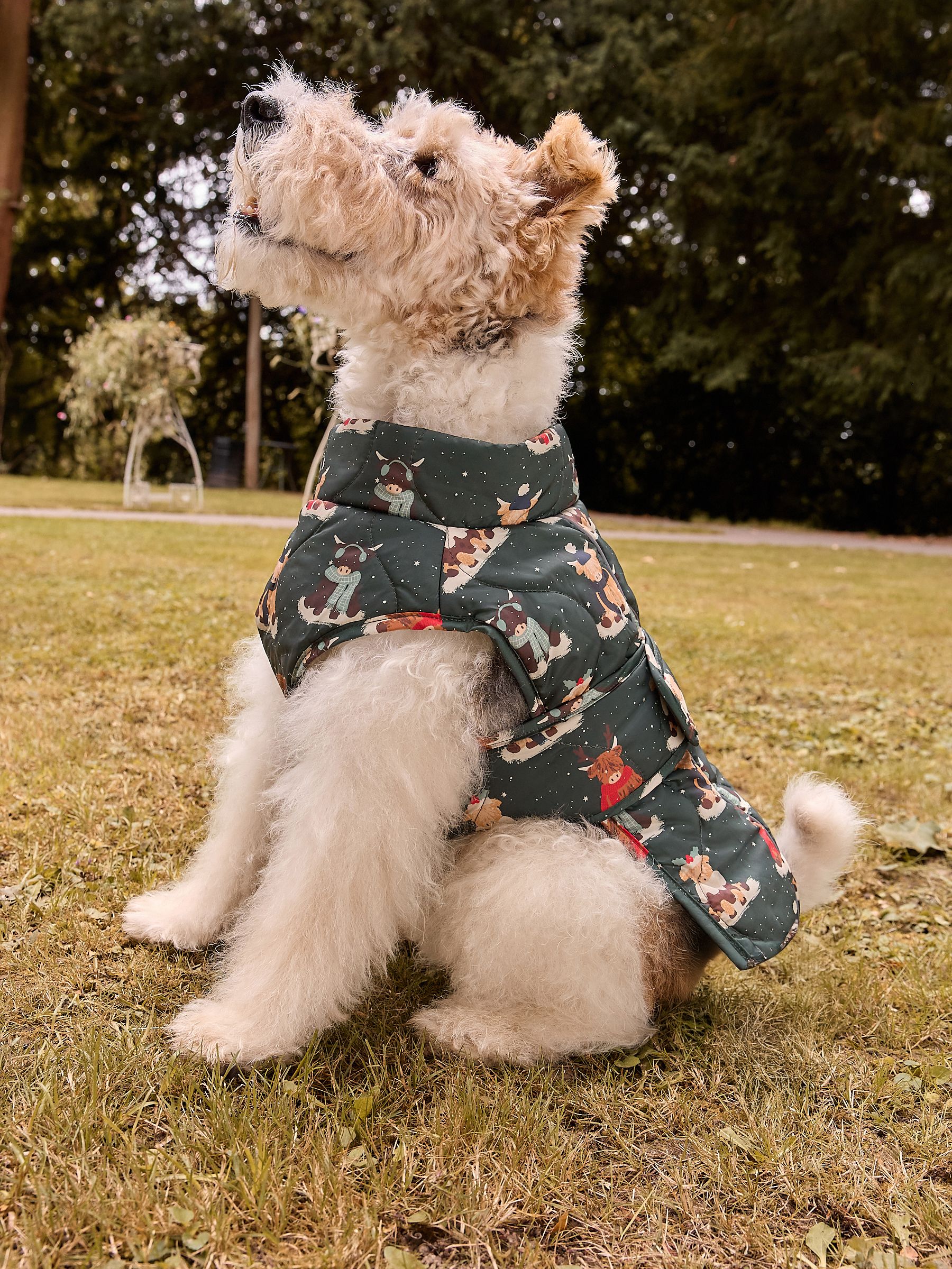 Hamish Print. - Kerstmis Gewatteerde Hondenjas
