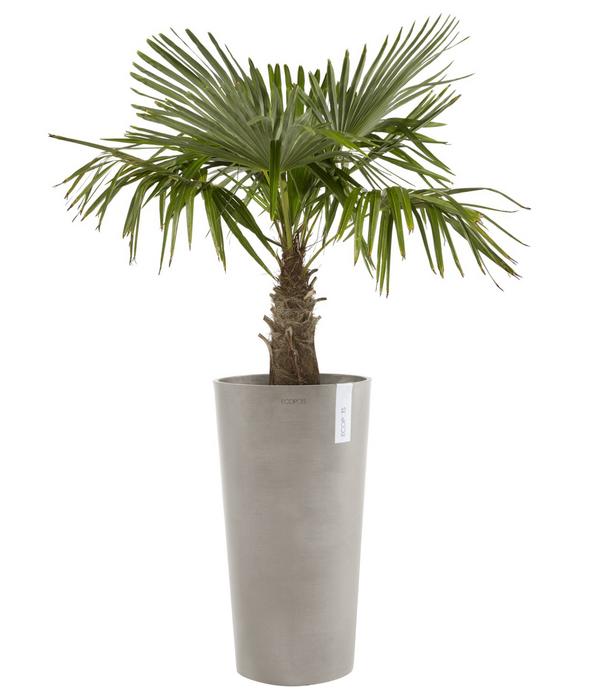 Ecopots Kunststoff-Topf Amsterdam hoch, rund