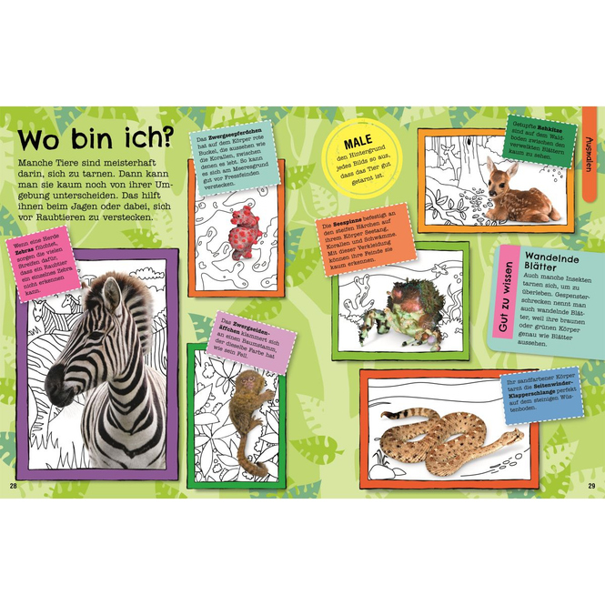 Mein Mitmach-Wissens-K!ck - Tiere - Malen-Rätseln-Entdecken