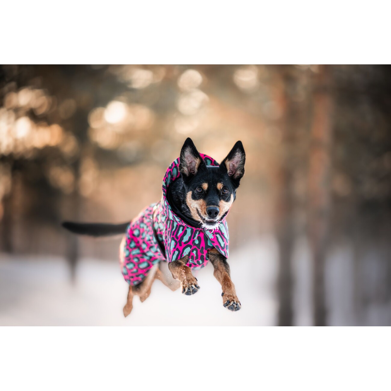 Paikka Visibility Winter Jacket jungle 20 cm