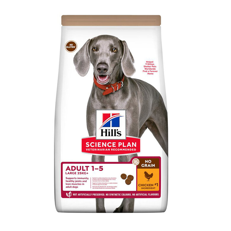 Ração Hill's Science Plan para cães adultos de porte grande com sabor de frango
