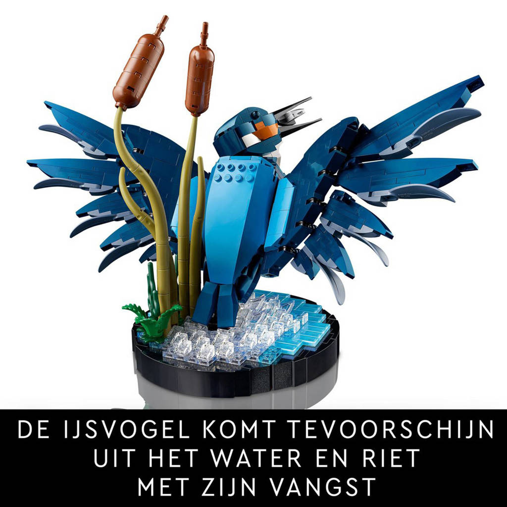 Top setje!IJsvogel 10331