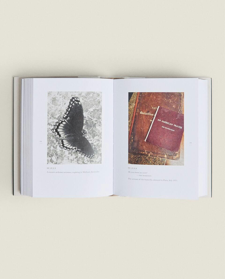 PATTI SMITH: UM LIVRO DE DIAS