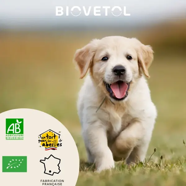 Biovetol - Alimento Saudável - Alt'vers em Pó Orgânico para Cães de Pequeno Porte <20kg - 30g