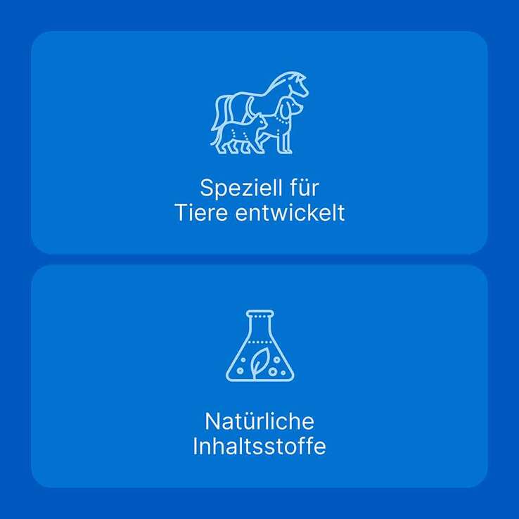 Traumeel LT Ampullen vet. (für Tiere), 5X5 ml