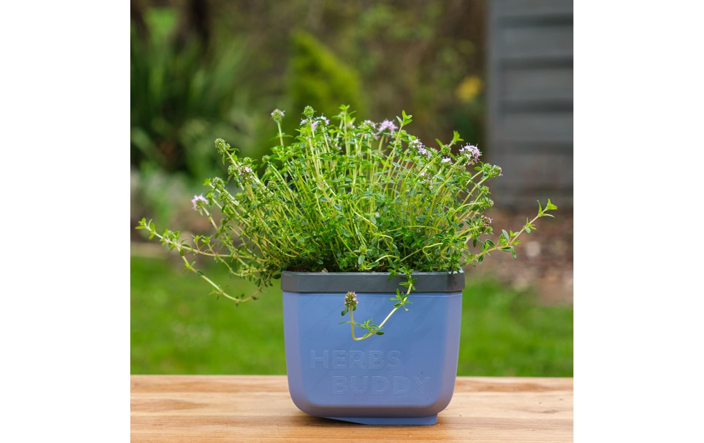 HERBS BUDDY Kräutertopf 3er Set BlauKräutertopf mit Wasserreservoir und Kippfunktion