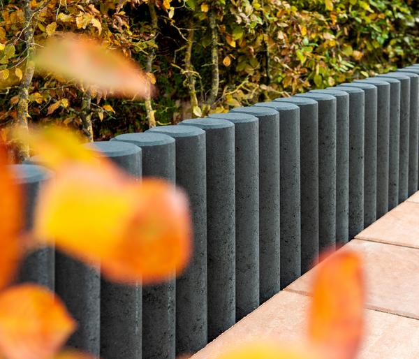 Diephaus Mini-Palisade