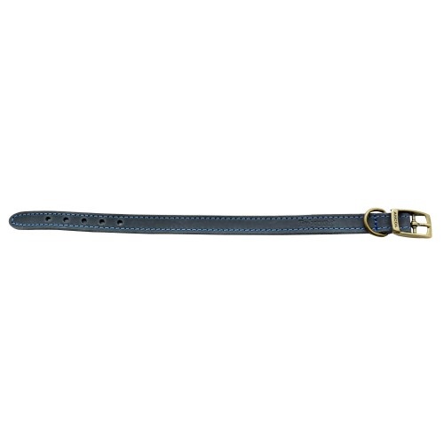 Coleira de couro Timberwolf para cães, azul