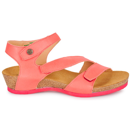 Think - DUMIA Coral
