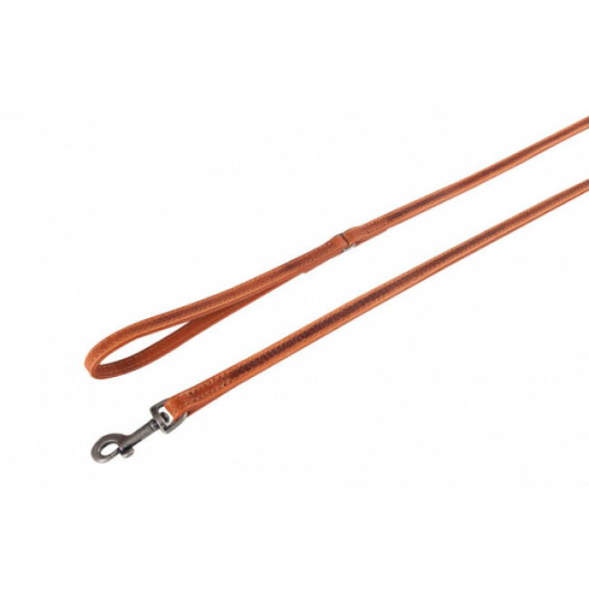 Laisse Nomad Acajou Brun