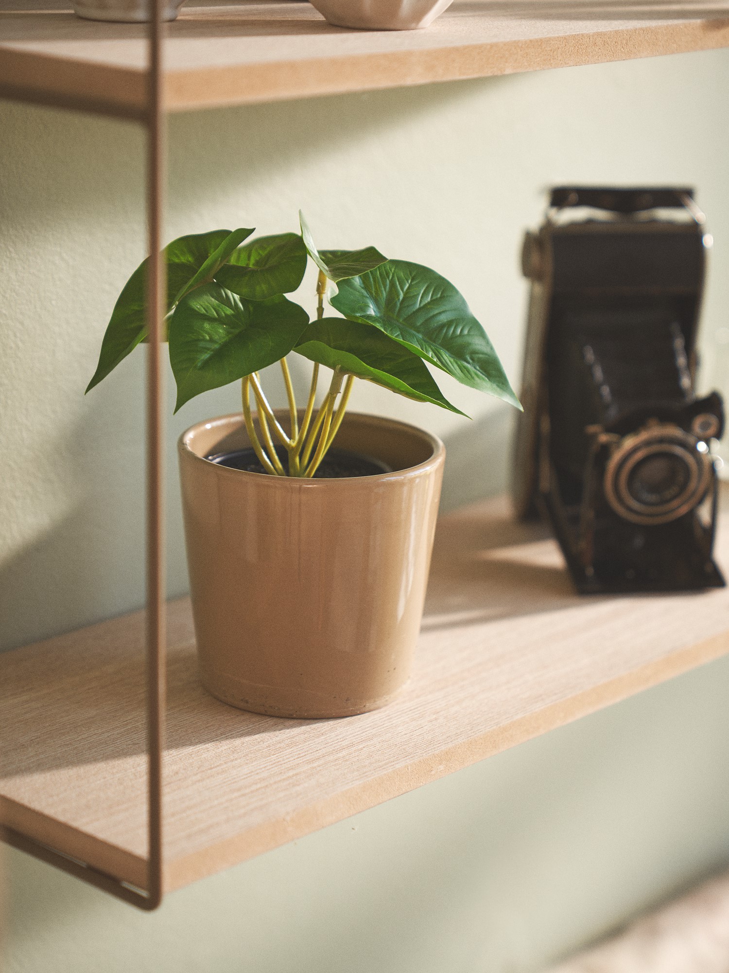 Kunstig plante i potte | Ø8 x 18 cm. | Dark Green