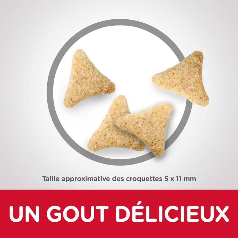 Hill's Science Plan Adult Hairball & Indoor poulet sur bitiba.fr