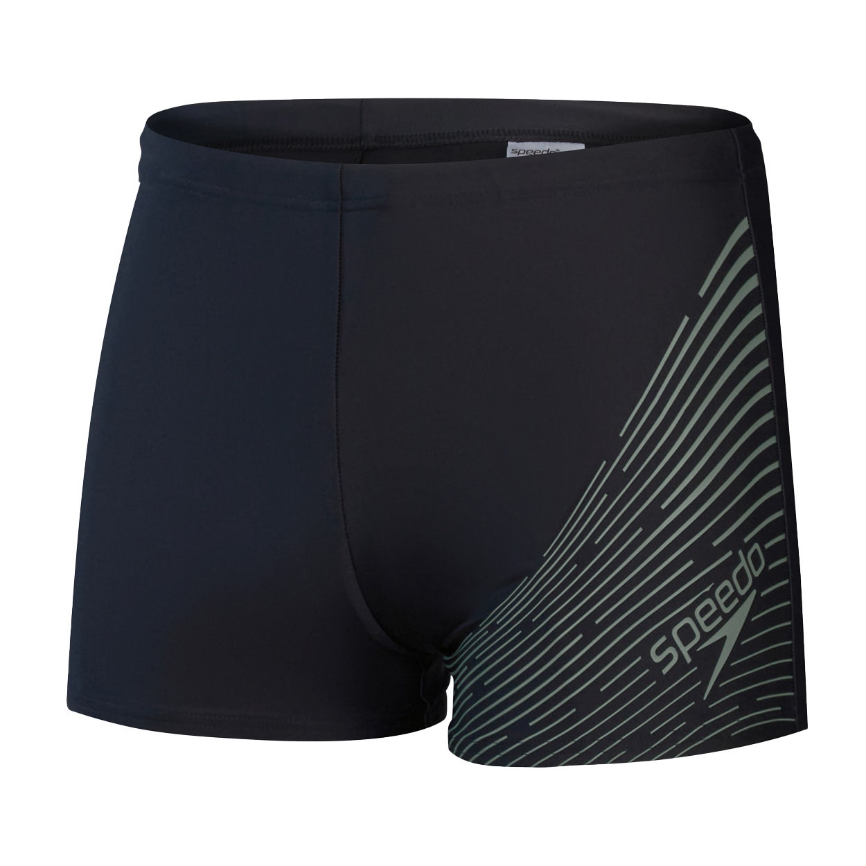 Speedo  Medley Logo Aquashort