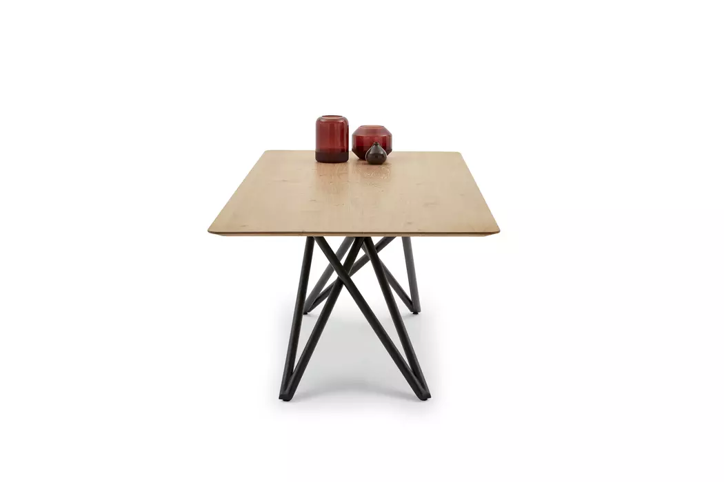 Esstisch Helmond 220 x 100cm