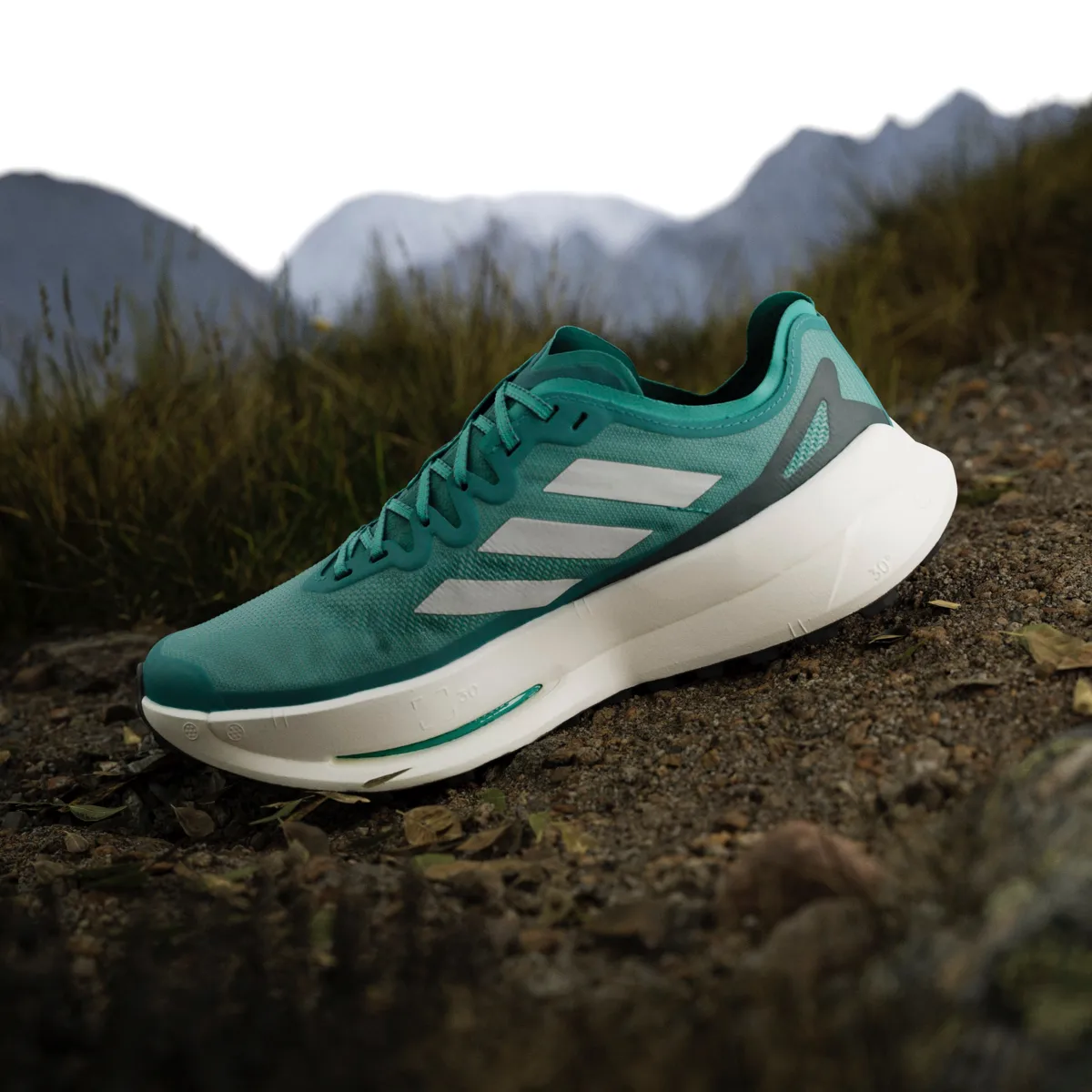 Adidas Men's Terrex Agravic Speed Ultra Purtea/greone/aurivy