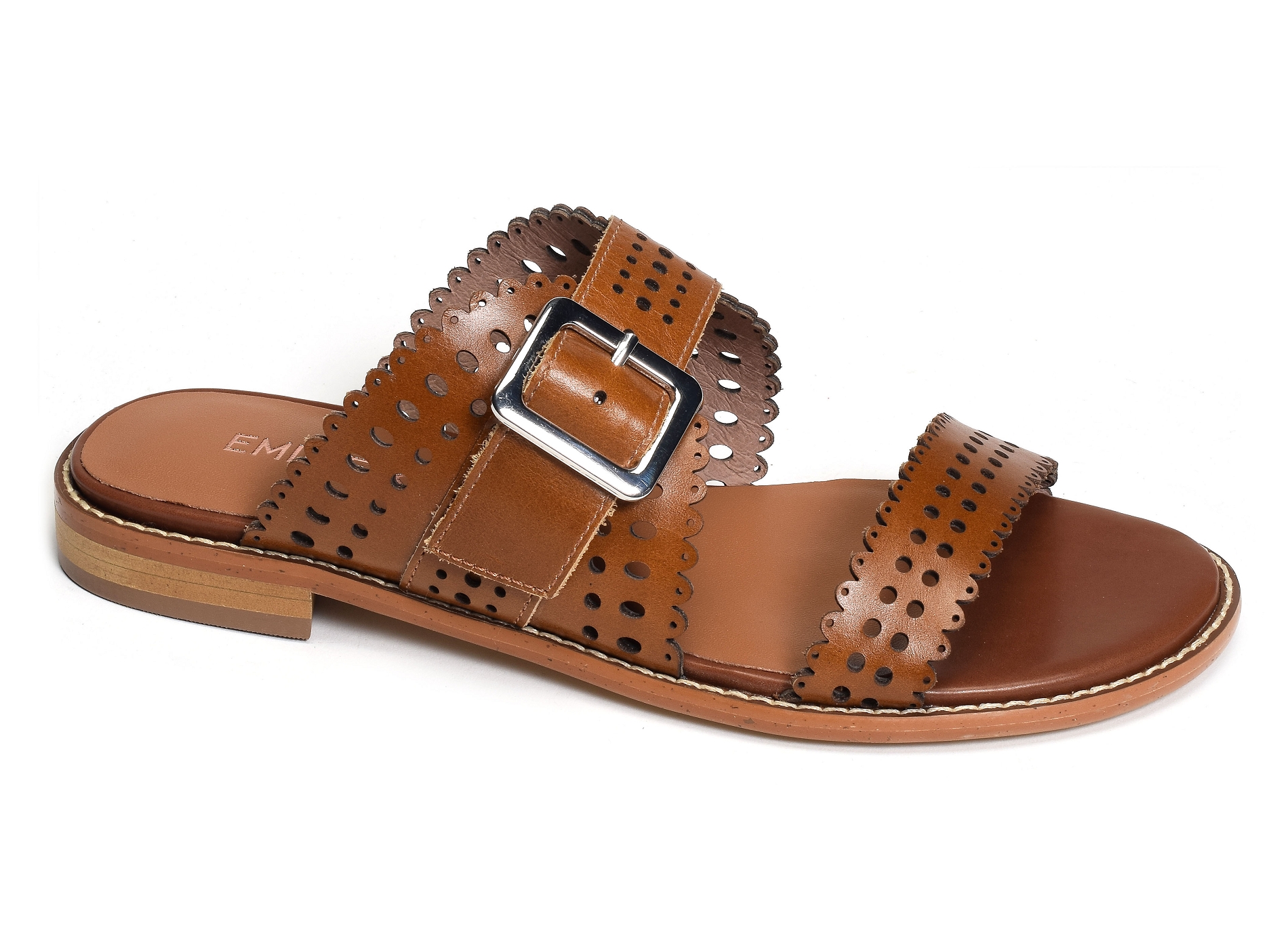 Xana camel