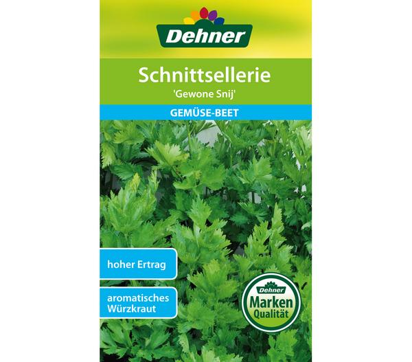 Dehner Samen Schnittsellerie 'Gewone Snij'
