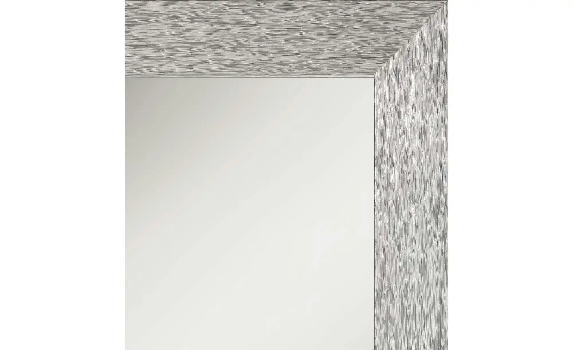 Spiegel 49 x 139 cm