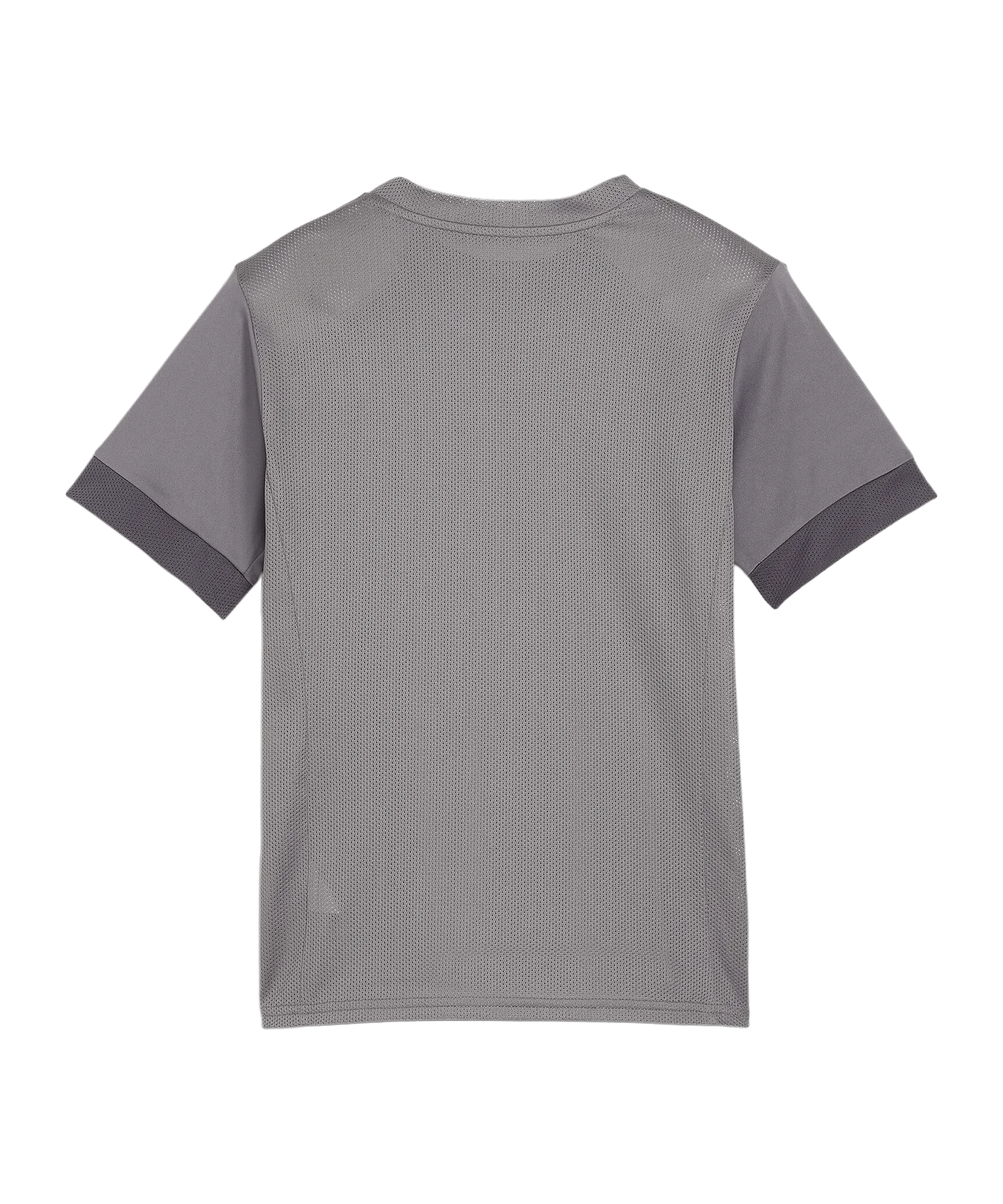 PUMA teamGOAL Matchday Trikot Kids Grau Weiss F13