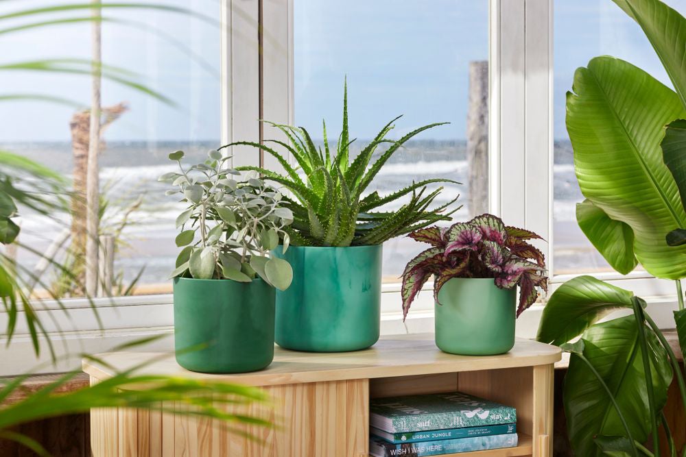 Elho bloempot The Ocean Collection groen D 13,8 H 12,5 cm