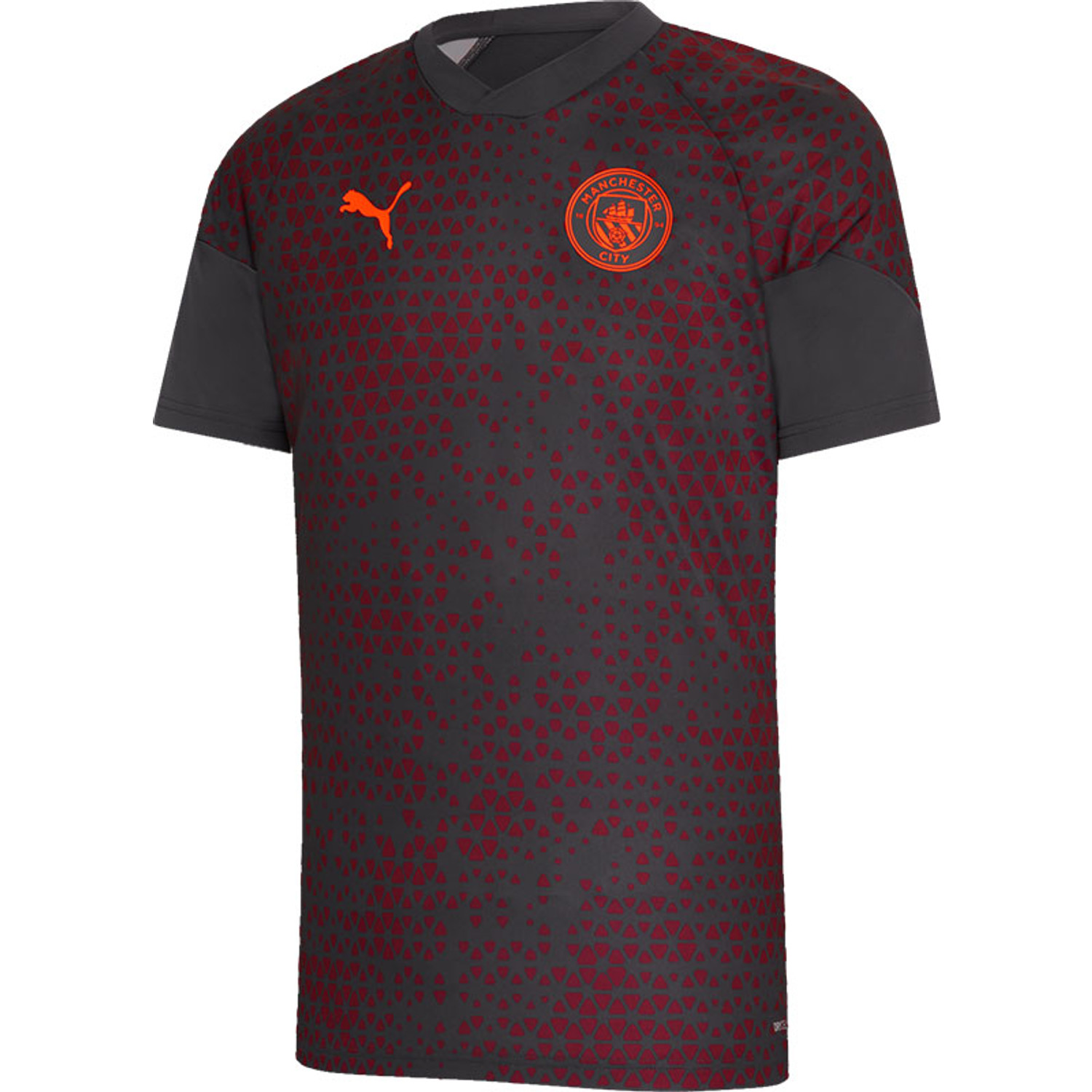 Puma Manchester City Trainingsset Kids