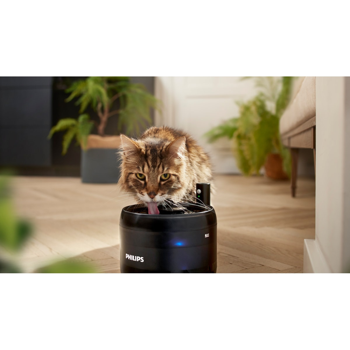 Philips Pet Series vannfontenefilter  PAW0010/01