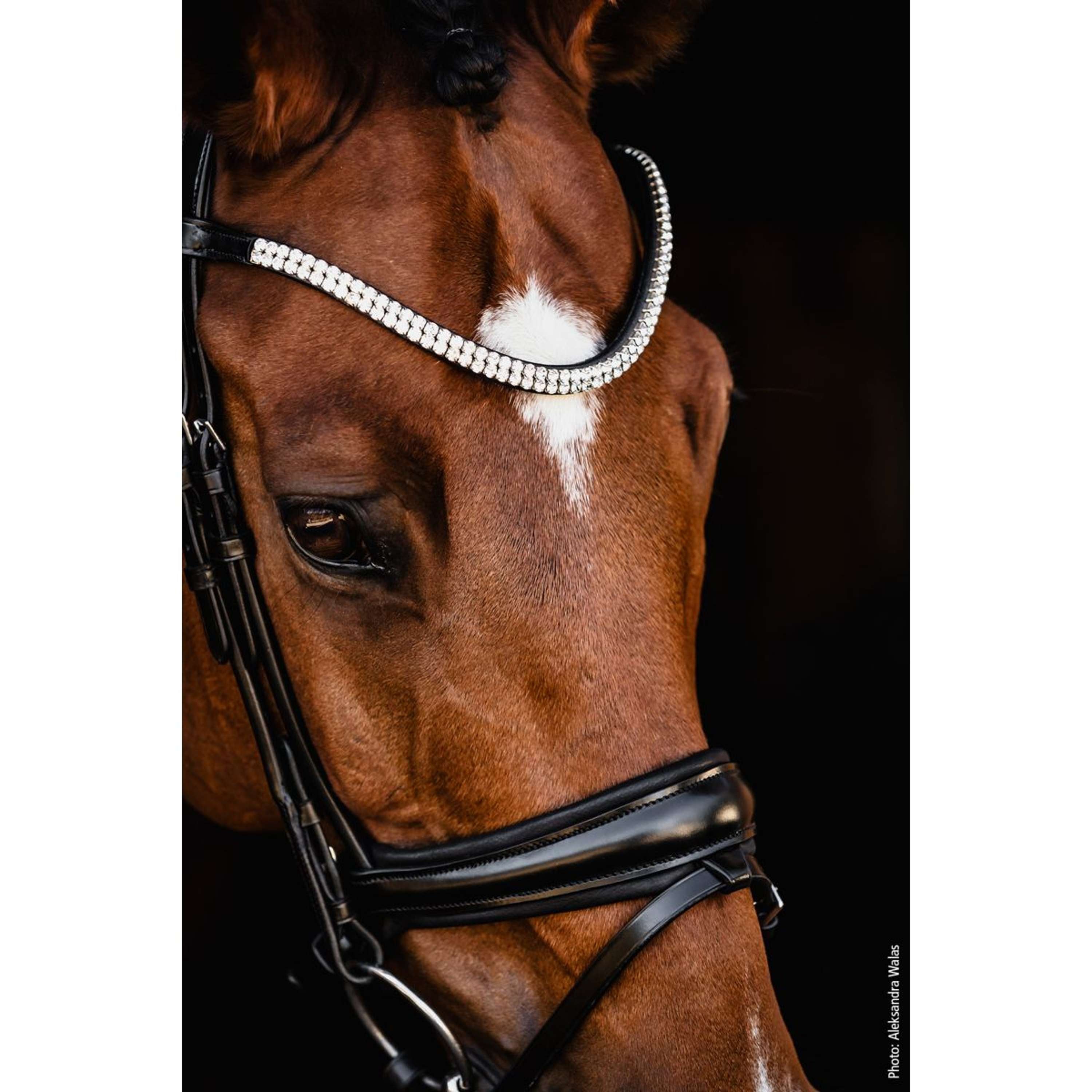 Schockemöhle Trenshoofdstel SP Isabell Werth Johnny Zwart/Zilver