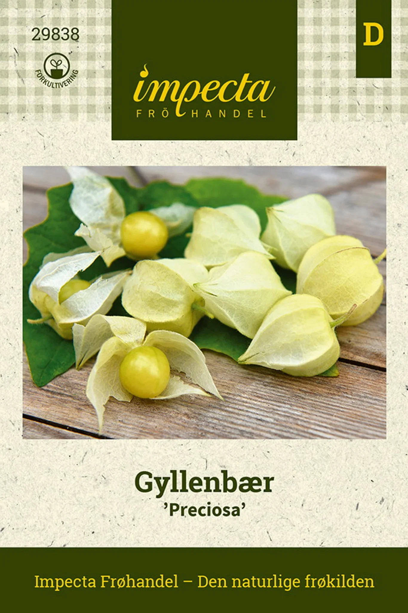 Physalis grisea 'Preciosa' Gyllenbær 'Preciosa'