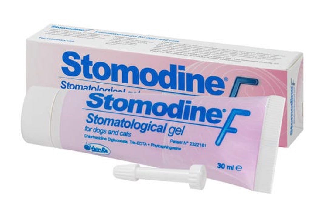 Stomodine F Mond Gel Hond Kat 30 ml | 12964