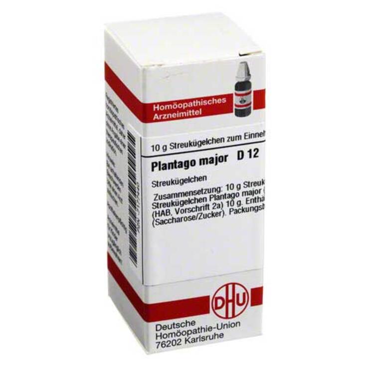DHU Plantago Major D 12 Globuli, 10 g