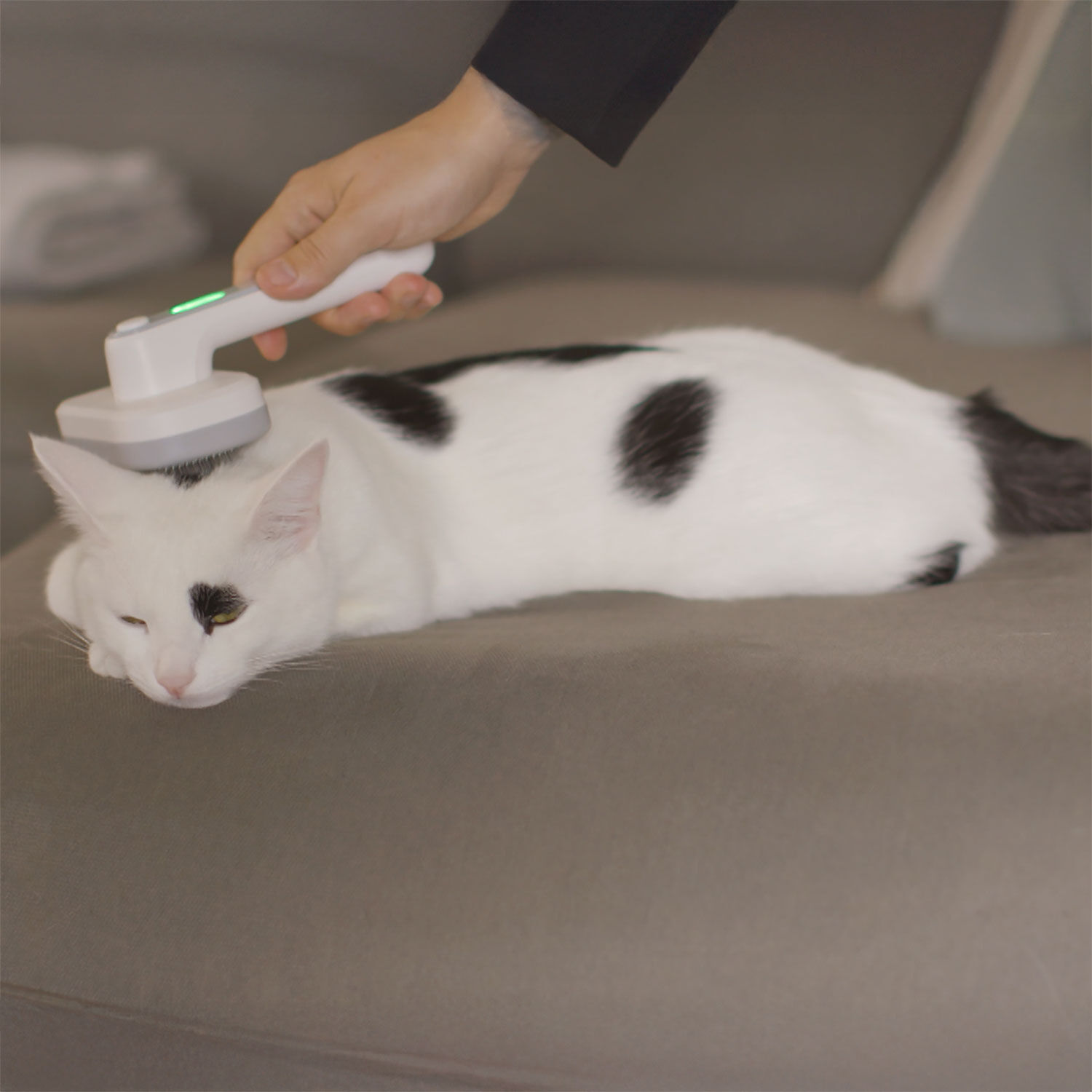 PiddiPet Tierhaarbürste IonBrush
