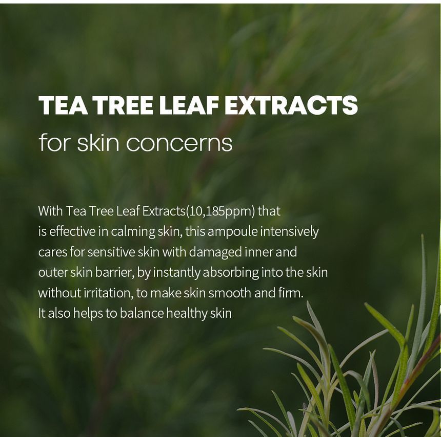 Farm Stay - Tea Tree Biome Kalmerende Toner Pad